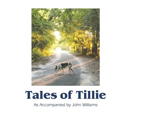 Poveștile lui Tillie - Tales of Tillie