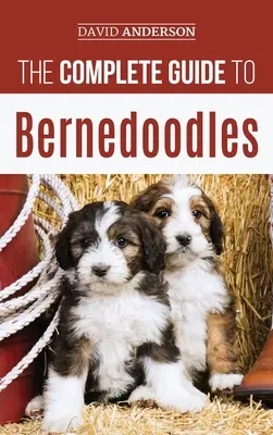 Ghidul complet pentru Bernedoodles: Tot ce trebuie să știi pentru a-ți crește cu succes cățelul Bernedoodle! - The Complete Guide to Bernedoodles: Everything you need to know to successfully raise your Bernedoodle puppy!
