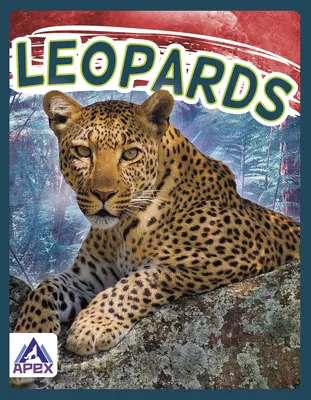 Leoparzi - Leopards