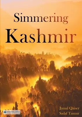 Kashmirul în fierbere - Simmering Kashmir