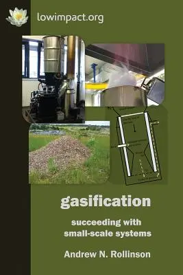 Gazeificarea: reușita sistemelor la scară mică - Gasification: succeeding with small-scale systems