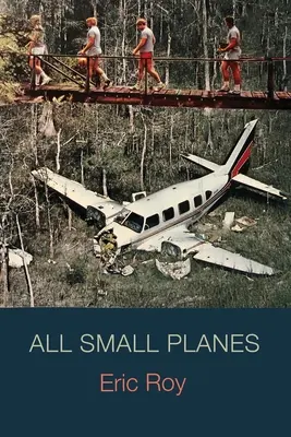 Toate avioanele mici - All Small Planes