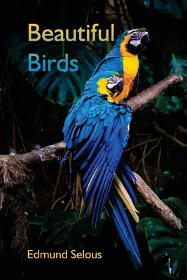 Păsări frumoase - Beautiful Birds