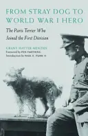 De la câine vagabond la erou al Primului Război Mondial: Terrierul din Paris care s-a alăturat Primei Divizii - From Stray Dog to World War I Hero: The Paris Terrier Who Joined the First Division