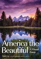 Teardrop Traveler: Un tur vizual al Americii cu Mandy Lea și remorca ei Teardrop - Teardrop Traveler: A Visual Tour of America with Mandy Lea & Her Teardrop Trailer