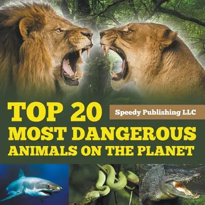 Top 20 cele mai periculoase animale de pe planetă - Top 20 Most Dangerous Animals On The Planet