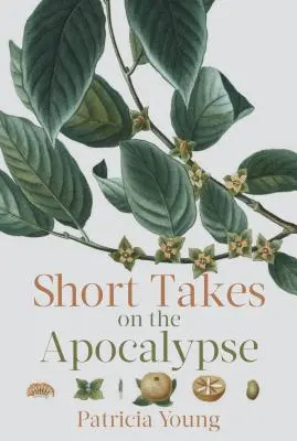 Scurturi despre Apocalipsă - Short Takes on the Apocalypse