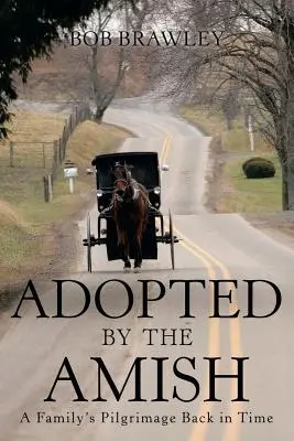 Adoptați de Amish: Pelerinajul unei familii înapoi în timp - Adopted by the Amish: A Family's Pilgrimage Back in Time