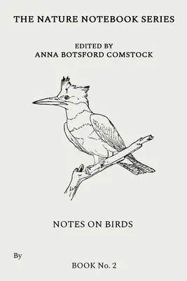 Note despre păsări 2 - Notes on Birds 2