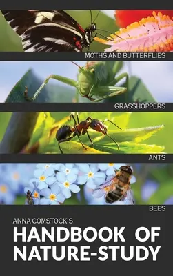 Manualul de studiu al naturii în culori - Insecte - The Handbook Of Nature Study in Color - Insects