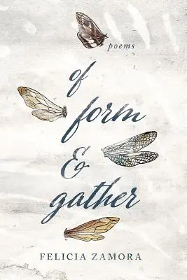 De formă și adunare - Of Form & Gather