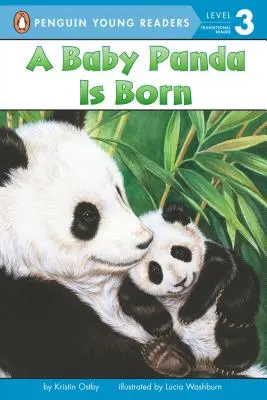 S-a născut un pui de panda - A Baby Panda Is Born