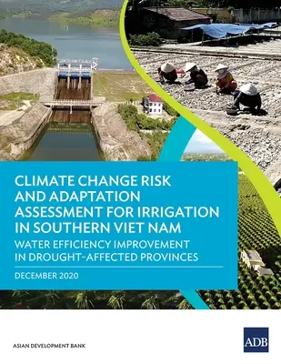 Evaluarea riscurilor și adaptării la schimbările climatice pentru irigații în sudul Vietnamului: Îmbunătățirea eficienței apei în provinciile afectate de secetă - Climate Change Risk and Adaptation Assessment for Irrigation in Southern Viet Nam: Water Efficiency Improvement in Drought-Affected Provinces