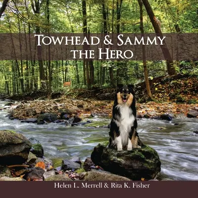 Towhead și Sammy Eroul - Towhead and Sammy The Hero
