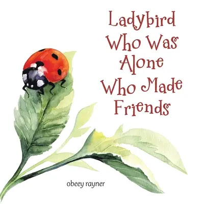 Buburuza care era singură care și-a făcut prieteni - Ladybird Who Was Alone Who Made Friends