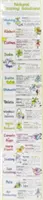 Grafic cu soluții naturale de curățare - Natural Cleaning Solutions Chart