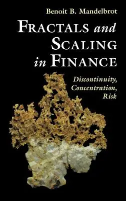 Fractali și scalare în finanțe: Discontinuitate, concentrare, risc. Selecta Volumul E - Fractals and Scaling in Finance: Discontinuity, Concentration, Risk. Selecta Volume E