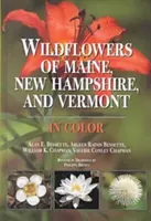 Flori sălbatice din Maine, New Hampshire și Vermont - Wildflowers of Maine, New Hampshire, and Vermont