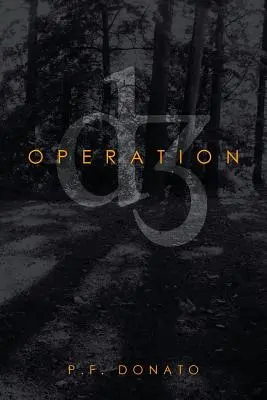 Operațiunea D3 - Operation D3