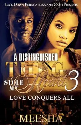 Un bandit distins mi-a furat inima 3: Dragostea învinge totul - A Distinguished Thug Stole My Heart 3: Love Conquers All