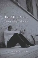 Matricea culturală: Înțelegerea tineretului negru - Cultural Matrix: Understanding Black Youth