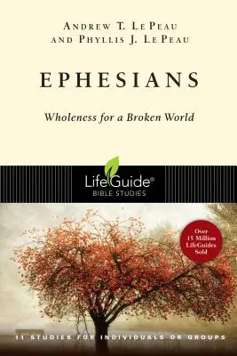 Efeseni: Integritate pentru o lume distrusă - Ephesians: Wholeness for a Broken World