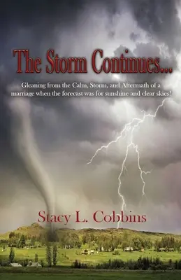 Furtuna continuă...: Gleaning from the Calm, Storm, and Aftermath of a marriage when the forecast was for sunshine and clear skies! - The Storm Continues...: Gleaning from the Calm, Storm, and Aftermath of a marriage when the forecast was for sunshine and clear skies!