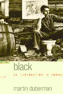 Muntele negru: O explorare în comunitate - Black Mountain: An Exploration in Community
