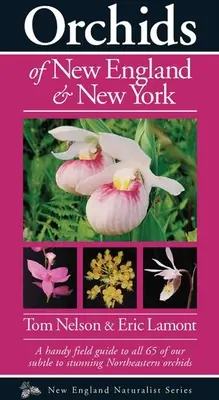 Orhideele din Noua Anglie și New York - Orchids of New England & New York