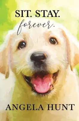 Stai. Stai. Pentru totdeauna. - Sit. Stay. Forever.
