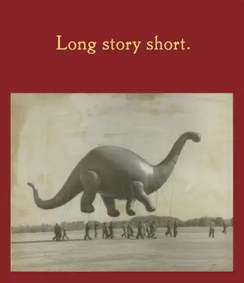 Poveste lungă pe scurt - Long Story Short