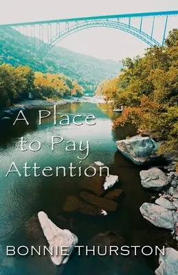 Un loc pentru a acorda atenție - A Place to Pay Attention