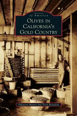 Măslinele în Țara de Aur a Californiei - Olives in California's Gold Country