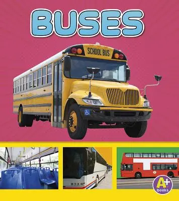 Autobuze - Buses