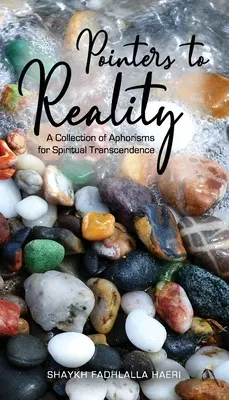 Indicii către realitate: O colecție de aforisme pentru transcendența spirituală - Pointers to Reality: A Collection of Aphorisms for Spiritual Transcendence