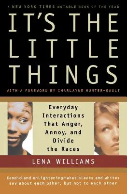 Lucrurile mărunte: Interacțiunile cotidiene care înfurie, enervează și divizează rasele - It's the Little Things: Everyday Interactions That Anger, Annoy, and Divide the Races