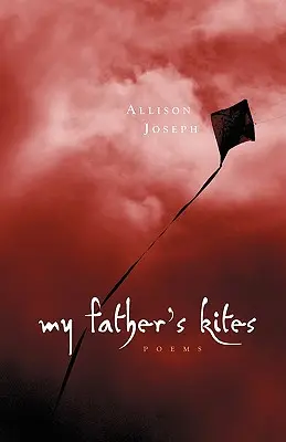 Zmeele tatălui meu - My Father's Kites