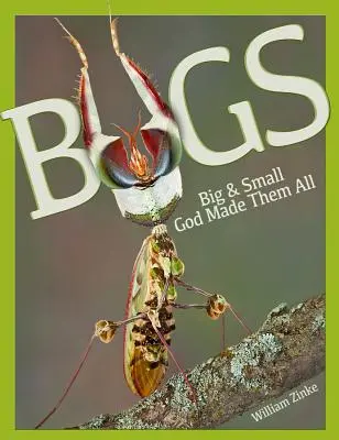 Insecte mari și mici: Dumnezeu le-a făcut pe toate - Bugs Big & Small: God Made Them All