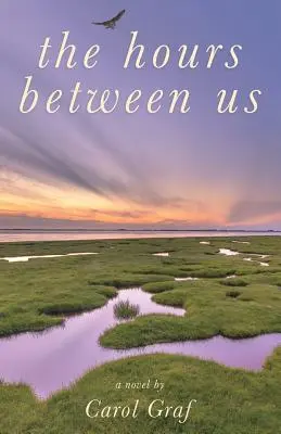Orele dintre noi - The Hours Between Us