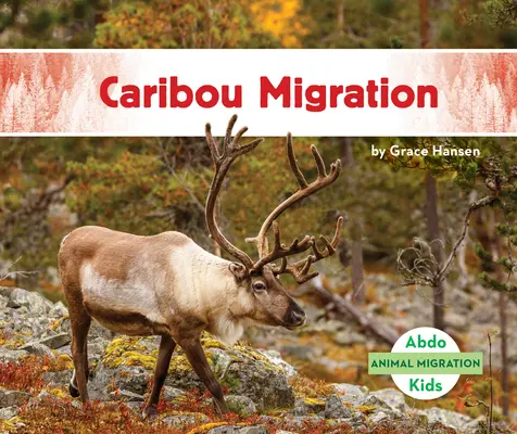 Migrația Caribou - Caribou Migration