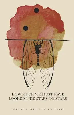 Cât de mult trebuie să fi arătat ca stelele pentru stele: Câștigătoare a seriei 2015 New Women's Voices - How Much We Must Have Looked Like Stars To Stars: Winner of the 2015 New Women's Voices Series