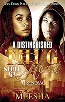 Un bandit distins mi-a furat inima: G și Nova - A Distinguished Thug Stole My Heart: G and Nova