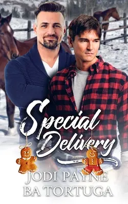Special Delivery: Un roman despre o vacanță distrusă - Special Delivery: A Wrecked Holiday Novel