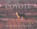 Coiotul - Coyote