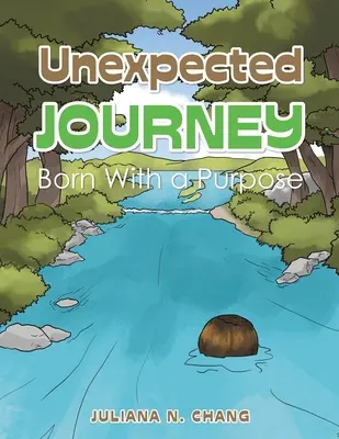 Călătorie neașteptată: Născut cu un scop - Unexpected Journey: Born with a Purpose