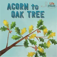 Cicluri de viață: De la ghindă la stejar - Life Cycles: Acorn to Oak Tree