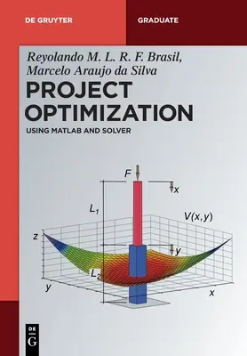 Optimizarea proiectului - Project Optimization