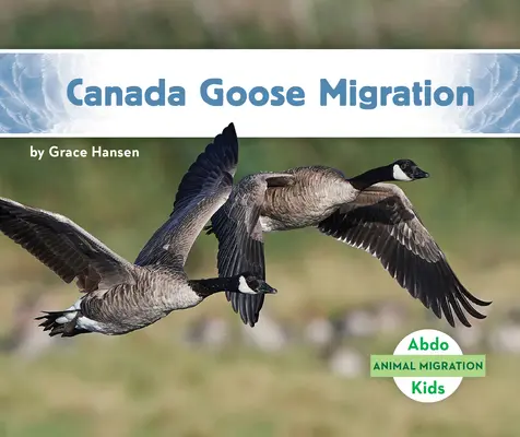 Migrația gâștei canadiene - Canada Goose Migration