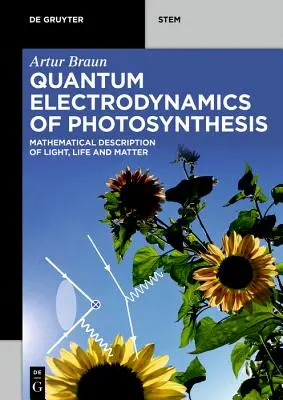 Electrodinamica cuantică a fotosintezei - Quantum Electrodynamics of Photosynthesis