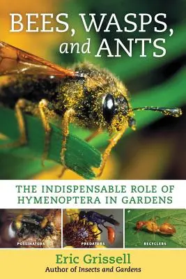 Albine, viespi și furnici: Rolul indispensabil al himenopterelor în grădini - Bees, Wasps, and Ants: The Indispensable Role of Hymenoptera in Gardens